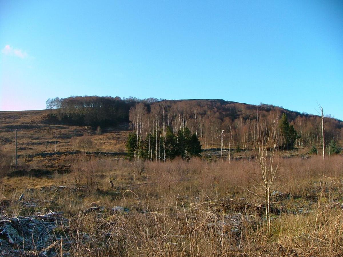 The Struan Inn Self Catering Lodge エクステリア 写真